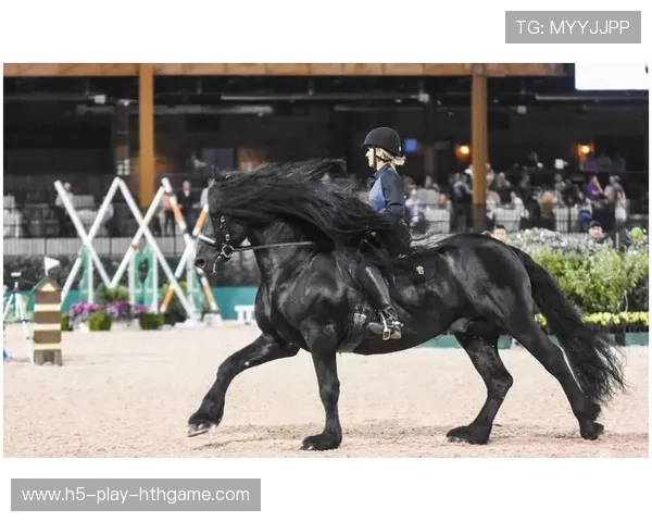 展望未来：哪些队伍将成为黑马？，展望未来_哪些队伍将成为黑马